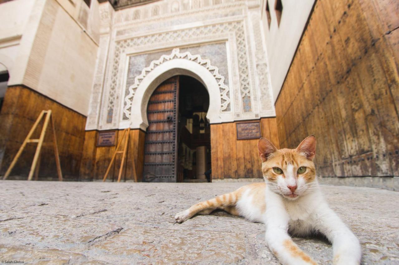 Riad Anis Fez Bagian luar foto